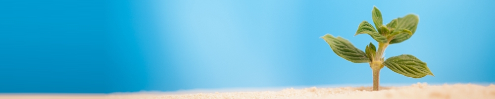 �T�C�g�}�b�v | �܍s�����������